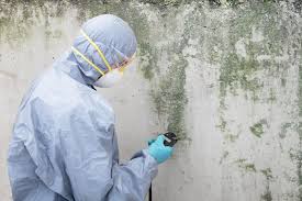 Best Real Estate Mold Inspection  in Sahuarita, AZ